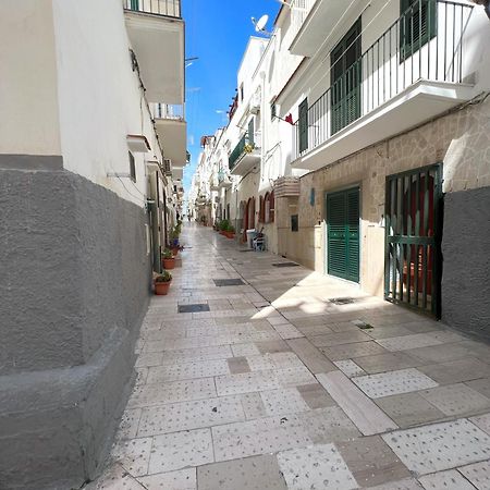 Acquasale Apartment "Altomare" Vieste Eksteriør billede