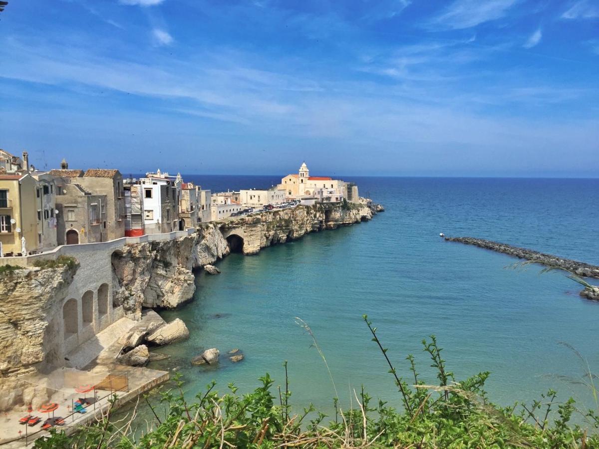 Acquasale Apartment "Altomare" Vieste Eksteriør billede