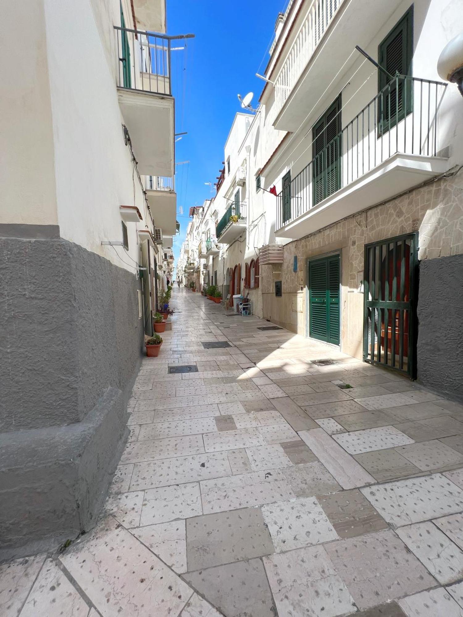 Acquasale Apartment "Altomare" Vieste Eksteriør billede